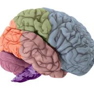 Mental Rotation preview image